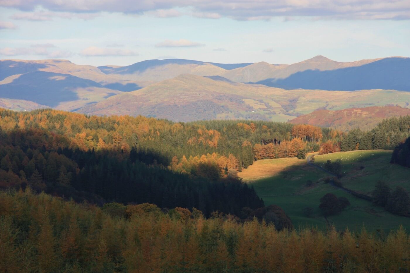 Grizedale Forest in Autumn Colours